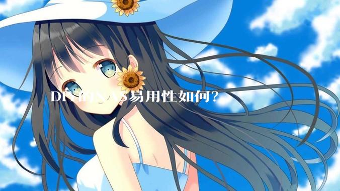 DIY的NAS易用性如何？