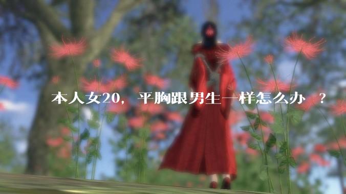 本人女20，平胸跟男生一样怎么办 ?