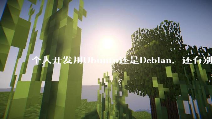 个人开发用Ubuntu还是Debian，还有别的推荐吗？