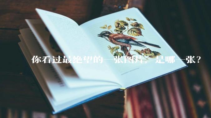 你看过最绝望的一张图片，是哪一张？