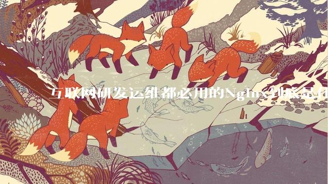 互联网研发运维都必用的Nginx到底是什么呢？