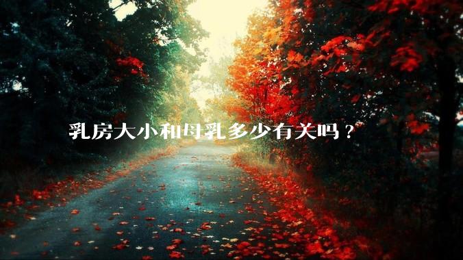 乳房大小和母乳多少有关吗?