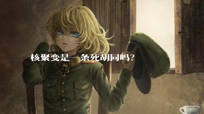 核聚变是一条死胡同吗？
