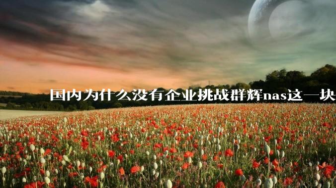 国内为什么没有企业挑战群辉nas这一块市场？