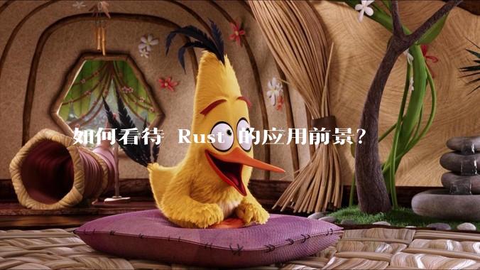 如何看待 Rust 的应用前景？