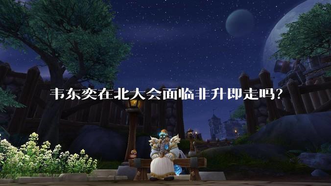 韦东奕在北大会面临非升即走吗？