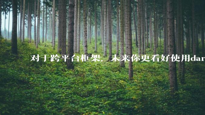 对于跨平台框架，未来你更看好使用dart语言的flutter还是.net新发布的maui?