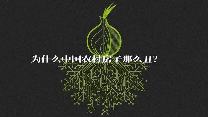 为什么中国农村房子那么丑？