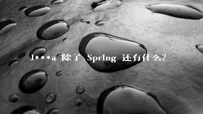 J***a 除了 Spring 还有什么？