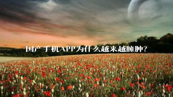 国产手机APP为什么越来越臃肿？