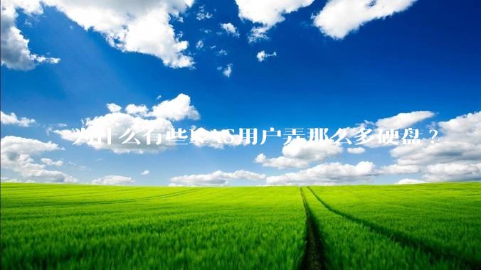 为什么有些NAS用户弄那么多硬盘?