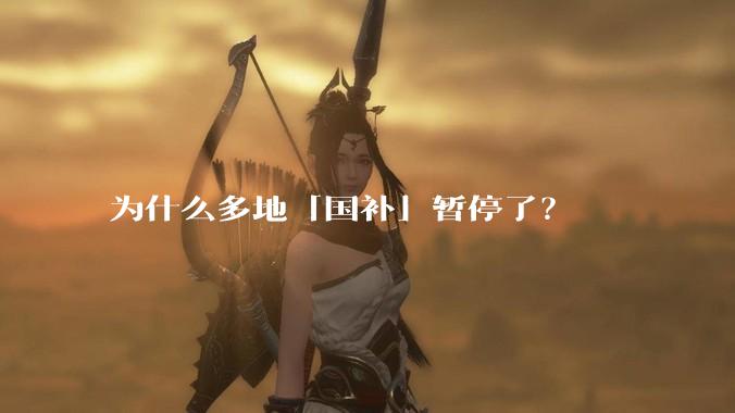 为什么多地「国补」暂停了？