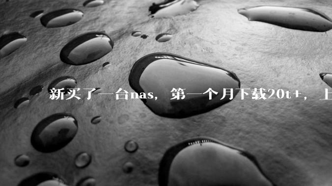 新买了一台nas，第一个月下载20t+，上传5+，不会被网警盯上吧?