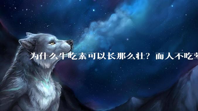 为什么牛吃素可以长那么壮？而人不吃荤就不行？