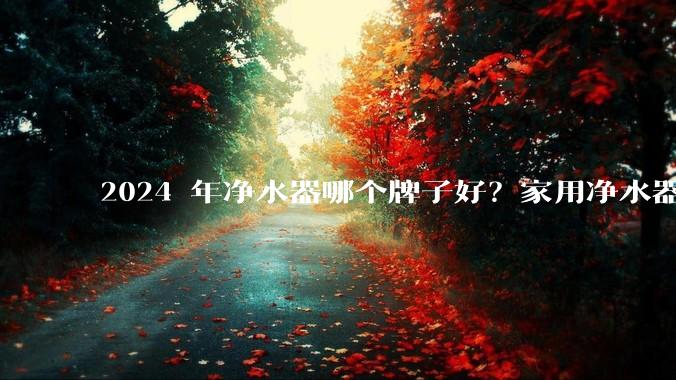 2024 年净水器哪个牌子好？家用净水器的选购攻略是什么？