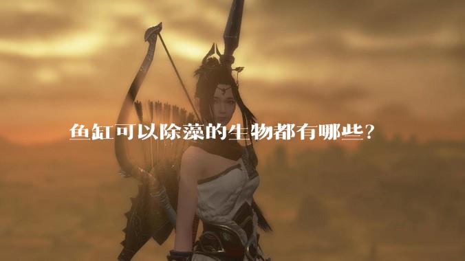 鱼缸可以除藻的生物都有哪些？