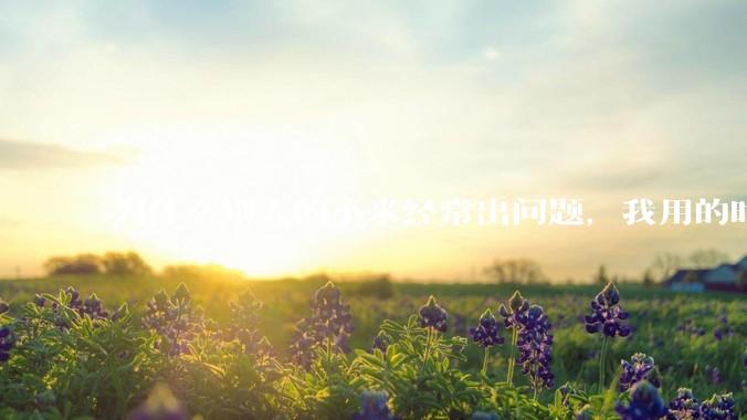 为什么别人的小米经常出问题，我用的时候都没遇到过？