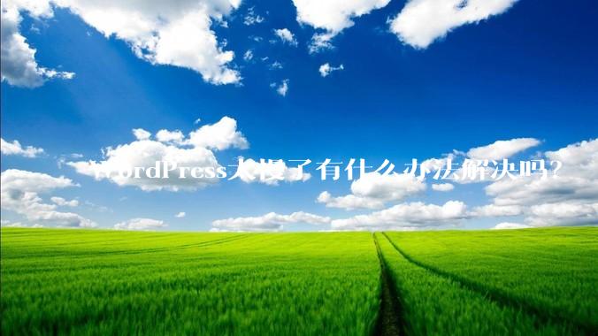 WordPress太慢了有什么办法解决吗？