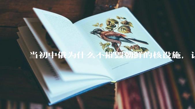 当初中俄为什么不摧毁朝鲜的核设施，让朝鲜拥有了自己的核武器？
