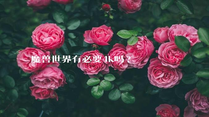 魔兽世界有必要4k吗?