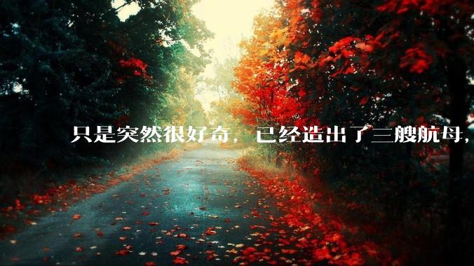 只是突然很好奇，已经造出了三艘航母，为何不能按照这样的模板，批量建造航母呢?