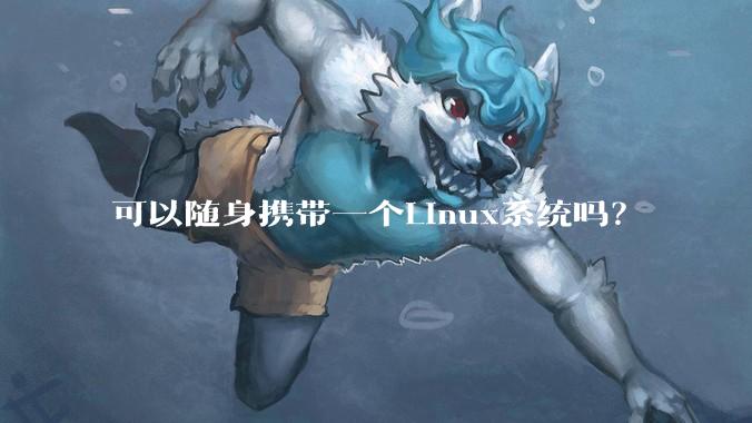 可以随身携带一个Linux系统吗？