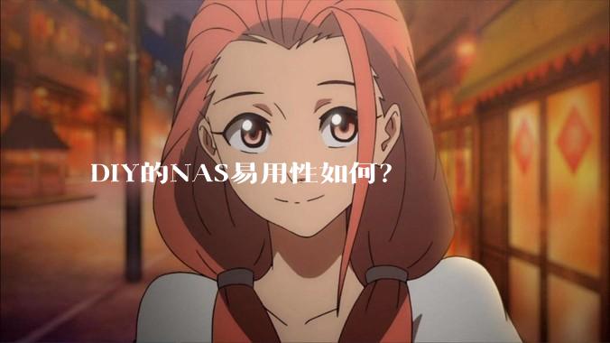 DIY的NAS易用性如何？