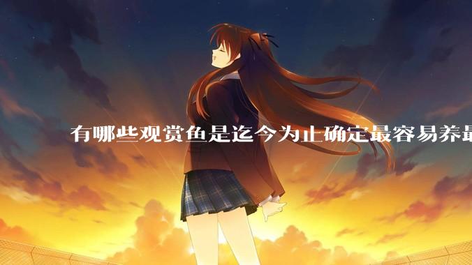 有哪些观赏鱼是迄今为止确定最容易养最不容易死的？