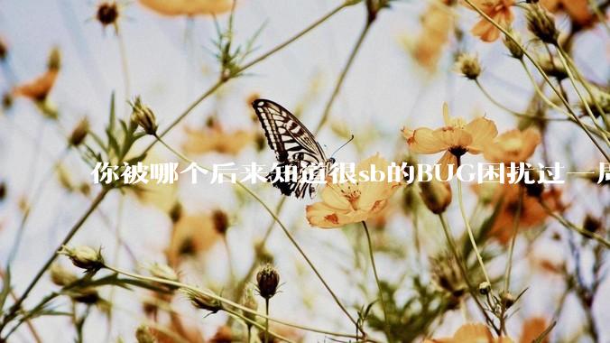 你被哪个后来知道很sb的BUG困扰过一周以上吗？