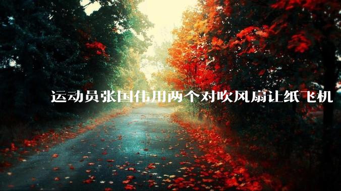 运动员张国伟用两个对吹风扇让纸飞机「悬停」，这是怎么实现的？从物理学角度如何解释？