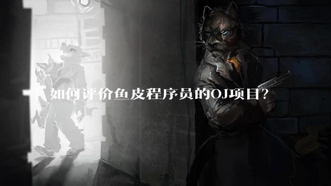 如何评价鱼皮程序员的OJ项目？