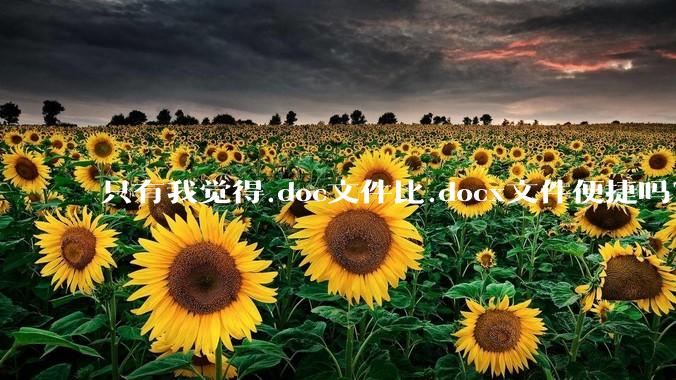 只有我觉得.doc文件比.docx文件便捷吗？