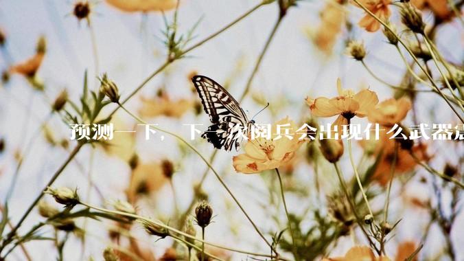 预测一下，下一次阅兵会出现什么武器震惊世界？
