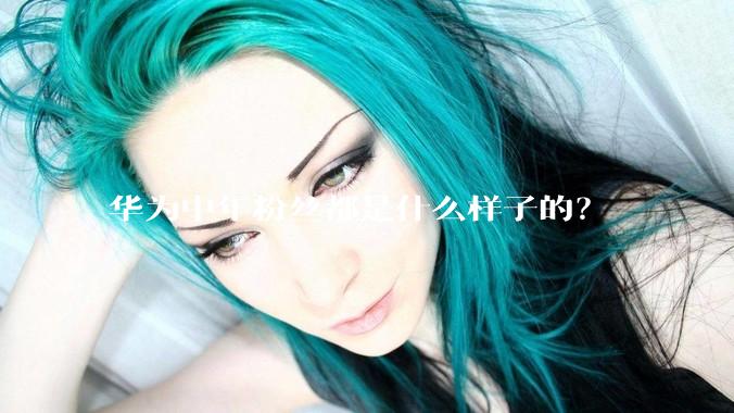 华为中年粉丝都是什么样子的？