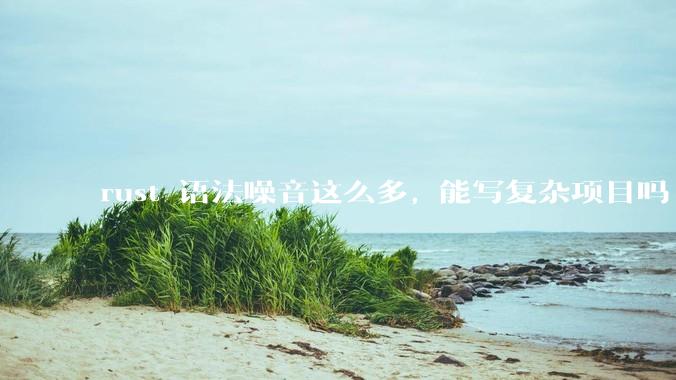 rust 语法噪音这么多, 能写复杂项目吗?