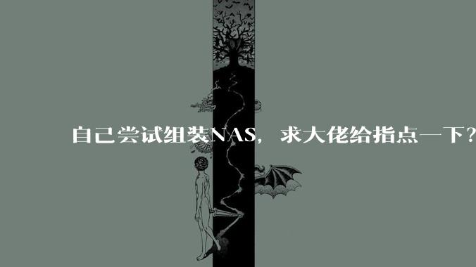 自己尝试组装NAS，求大佬给指点一下？