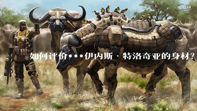 如何评价***伊内斯·特洛奇亚的身材？