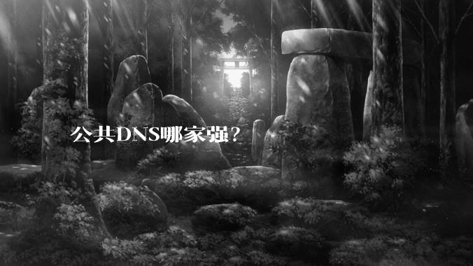 公共DNS哪家强？