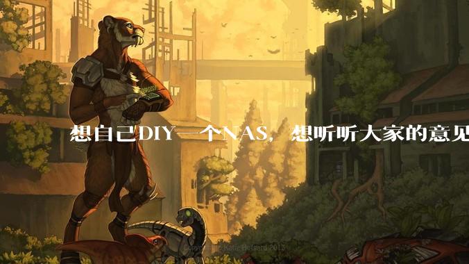 想自己DIY一个NAS，想听听大家的意见。？