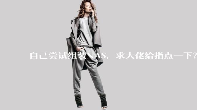 自己尝试组装NAS，求大佬给指点一下？