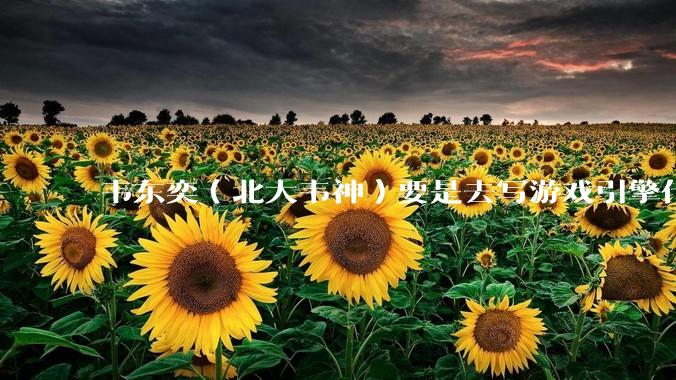 韦东奕（北大韦神）要是去写游戏引擎代码，能不能把虚幻引擎按在地上摩擦？数学好真能‘降维打击吗？