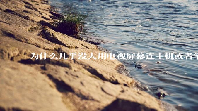 为什么几乎没人用电视屏幕连主机或者笔记本当显示器？